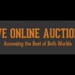 The popularity and mechanics of online auctions (Auction Infographic)